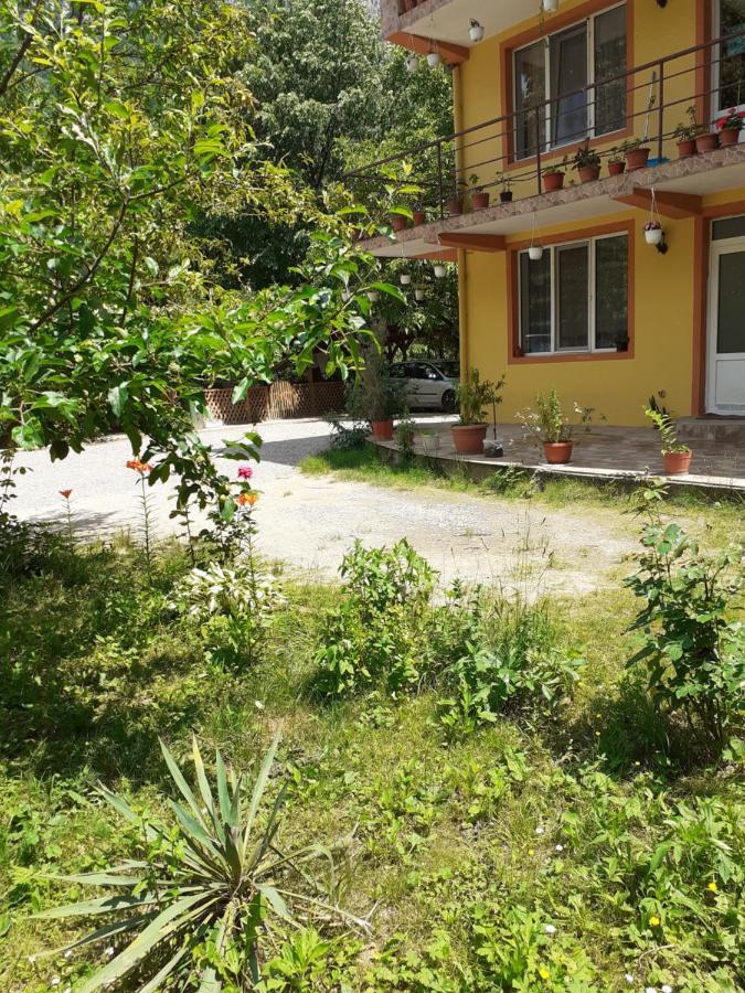 Casa Mihaela Apartment Băile Herculane Exterior foto